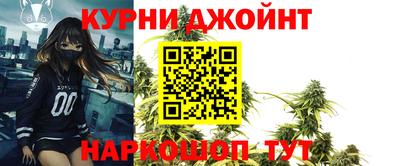 сатива Будённовск