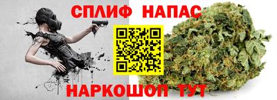 сатива Будённовск