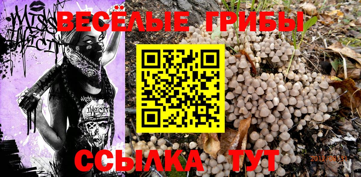Псилоцибиновые грибы мухоморы Чебоксары